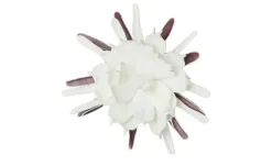Soft Flower Kaktusblüte | Weiß | Möbel Höffner