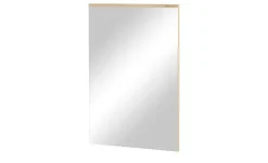 Spiegel 60 x 89 cm Odessa | Möbel Höffner