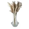 Vase | Möbel Höffner
