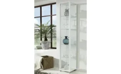 Vitrine, 1-türig BEN | Weiß, matt, transparent