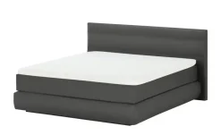 Wohnwert Boxspringbett Dormian Bolge Low | Fango, 140 cm