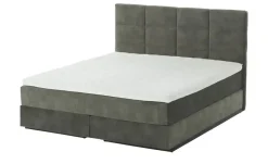 Wohnwert Boxspringbett Rist | Grün, 160 cm | Höffner