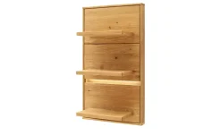 Woodford LED-Beleuchtung Moris | Möbel Höffner